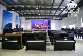 熱烈慶祝卡羅德鋼琴經(jīng)銷商考察交流會在上海成功舉行 技術(shù)服務(wù)賦能行業(yè)未來