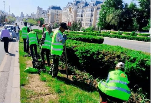 園林綠化服務中心 精雕細琢城市綠脈，全力做好美化工作為城市提質添彩