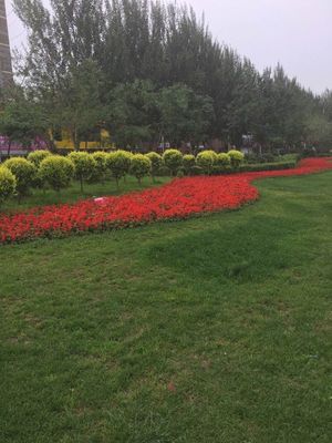 專業園林綠化服務首選——大慶和合園林綠化工程有限公司